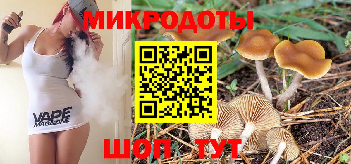 Псилоцибиновые грибы Psilocybine cubensis Звенигород